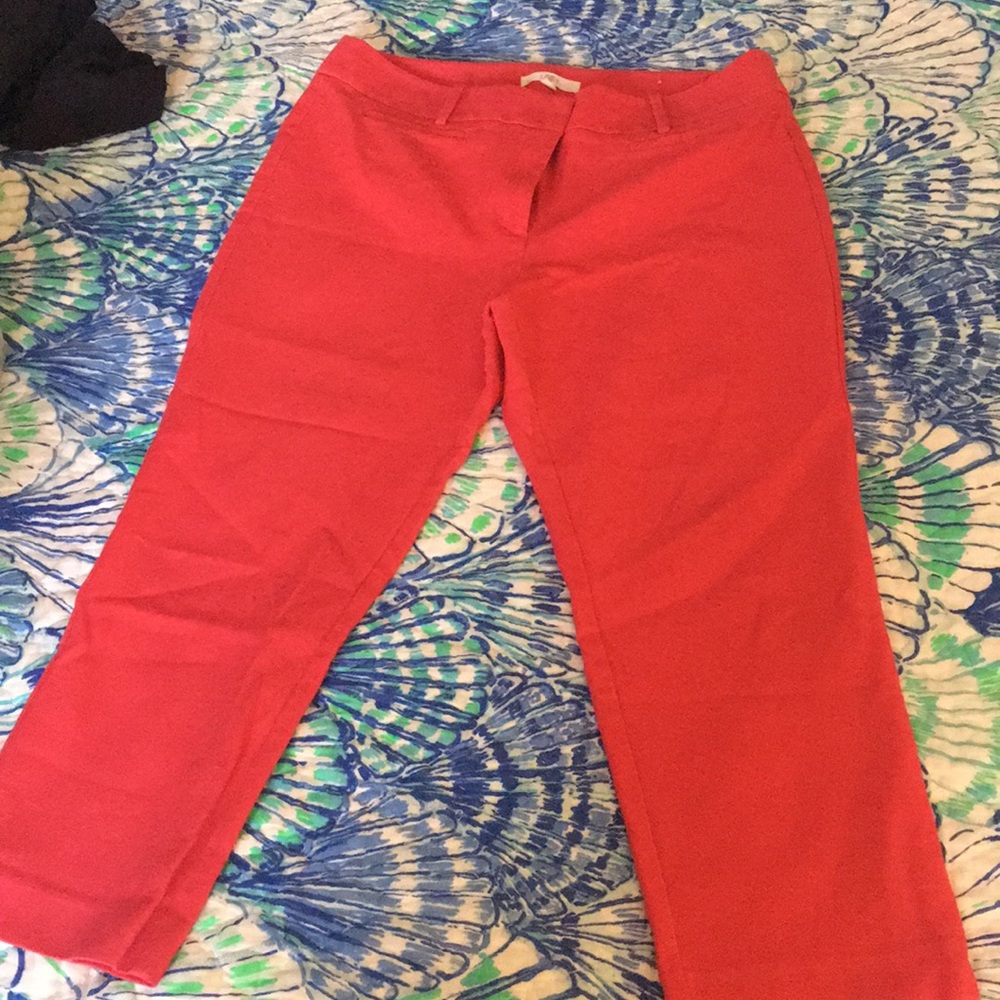 Loft Dress Slacks!